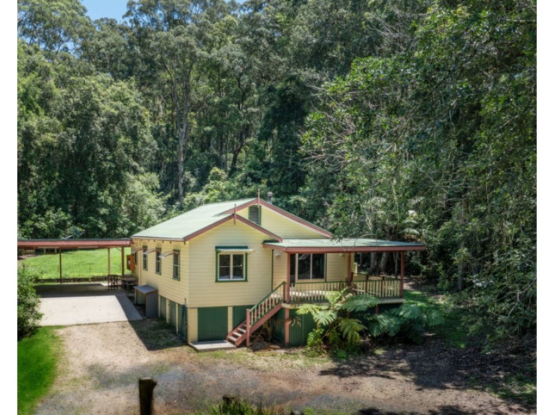 34 Tree Fern Close, Repton NSW 2454