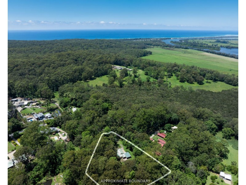 34 Tree Fern Close, Repton NSW 2454