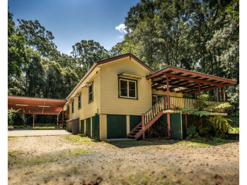 34 Tree Fern Close, Repton NSW 2454