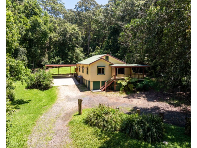 34 Tree Fern Close, Repton NSW 2454