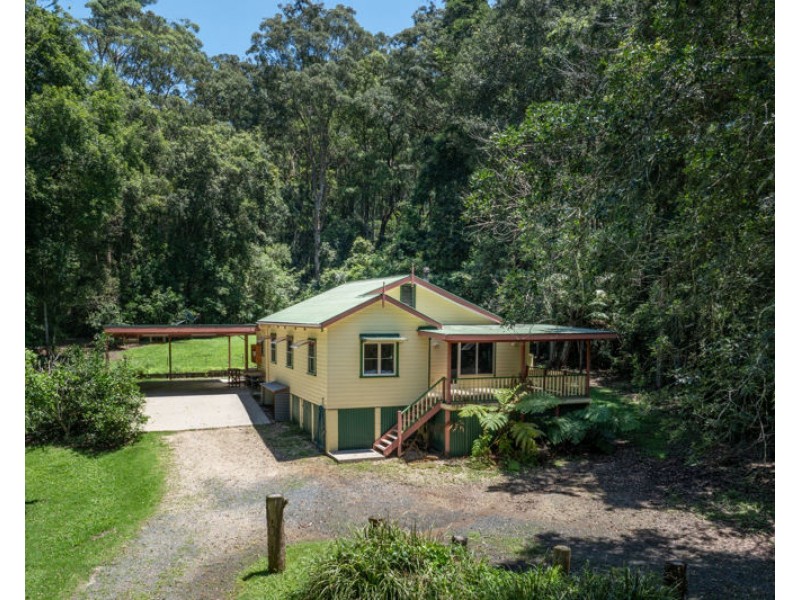 34 Tree Fern Close, Repton NSW 2454