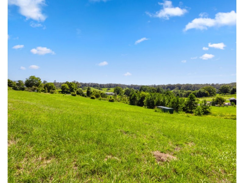 20 McLean Drive, Bellingen NSW 2454