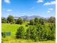 20 McLean Drive, Bellingen NSW 2454