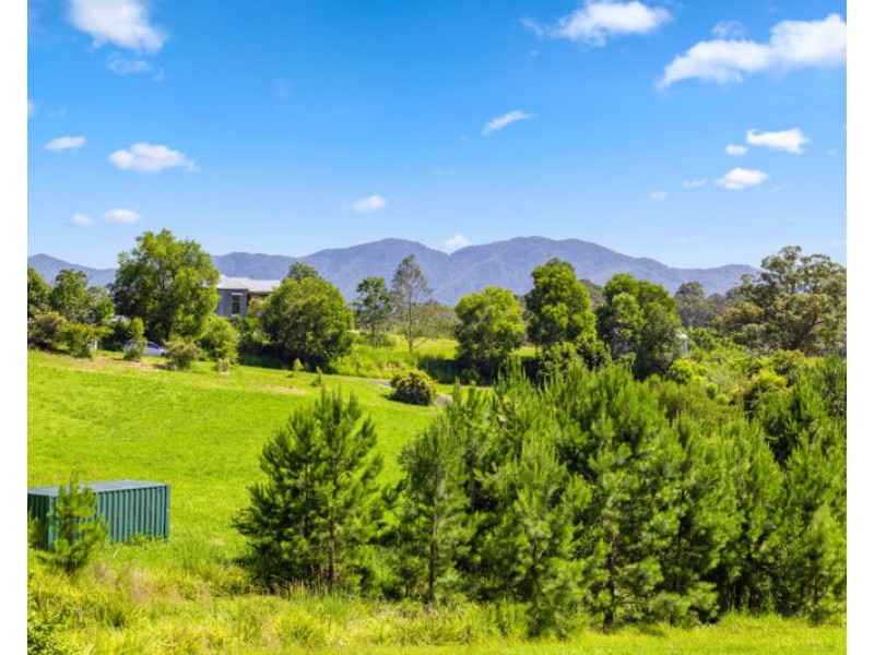 20 McLean Drive, Bellingen NSW 2454