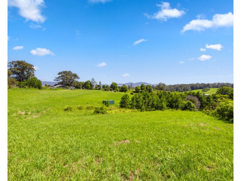 20 McLean Drive, Bellingen NSW 2454