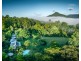 30 John Locke Place, Bellingen NSW 2454