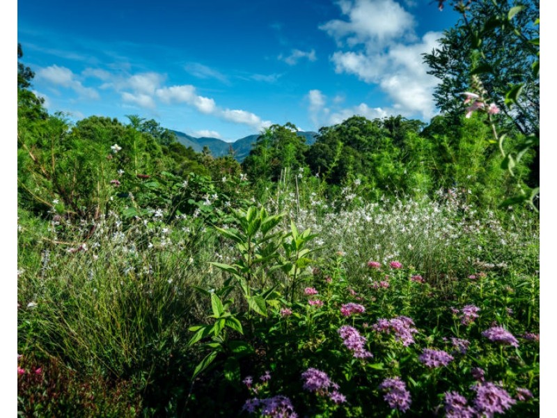 30 John Locke Place, Bellingen NSW 2454