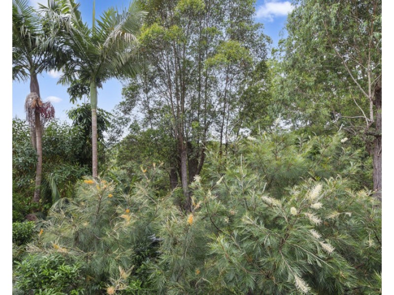 14 Hill Street, Bellingen NSW 2454