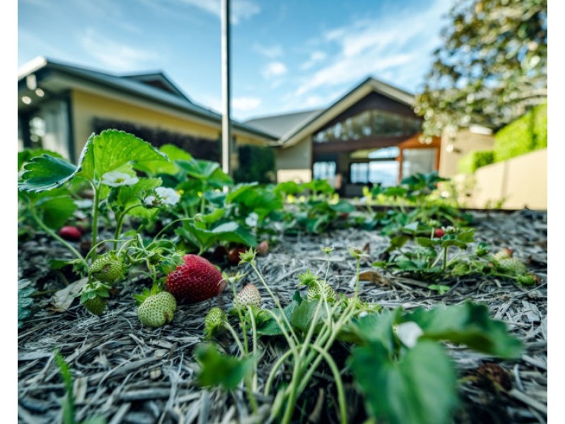 58 Marx Hill Road, Bellingen NSW 2454