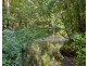 3566 Kalang Road, Kalang NSW 2454
