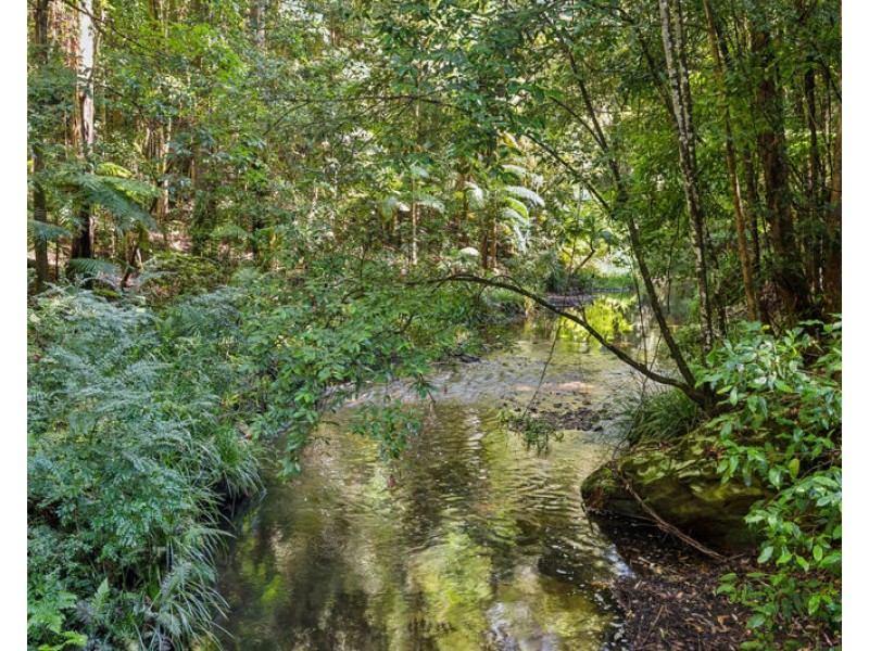 3566 Kalang Road, Kalang NSW 2454