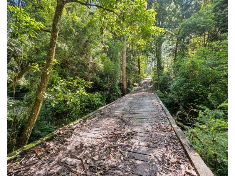 3566 Kalang Road, Kalang NSW 2454