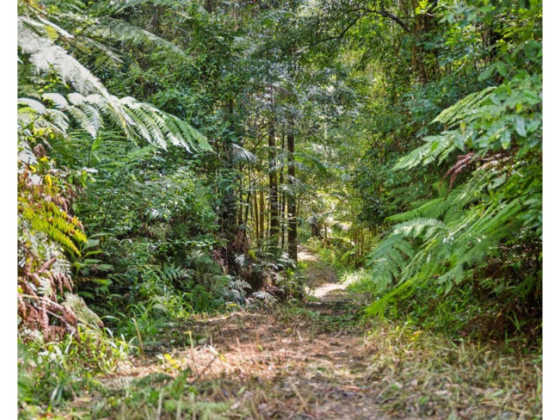 3566 Kalang Road, Kalang NSW 2454