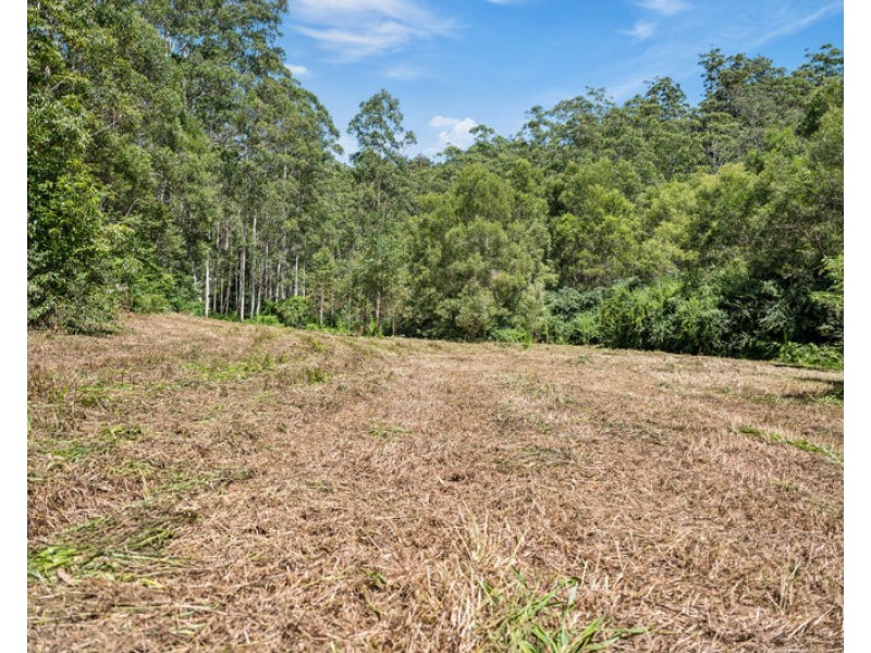 3566 Kalang Road, Kalang NSW 2454