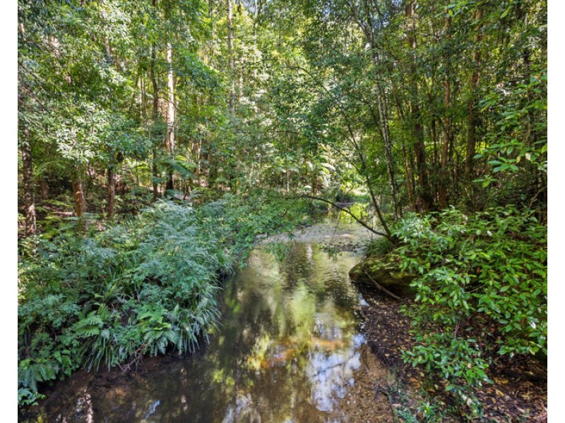 3566 Kalang Road, Kalang NSW 2454