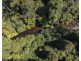 3566 Kalang Road, Kalang NSW 2454