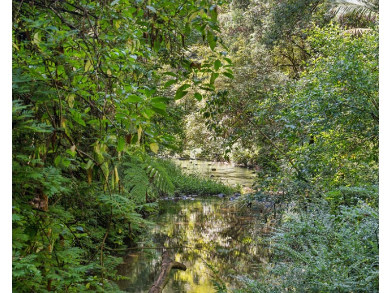 3566 Kalang Road, Kalang NSW 2454