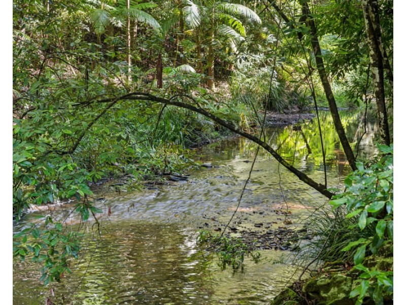 3566 Kalang Road, Kalang NSW 2454