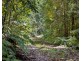 3566 Kalang Road, Kalang NSW 2454