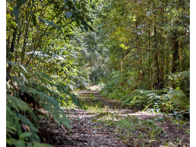 3566 Kalang Road, Kalang NSW 2454