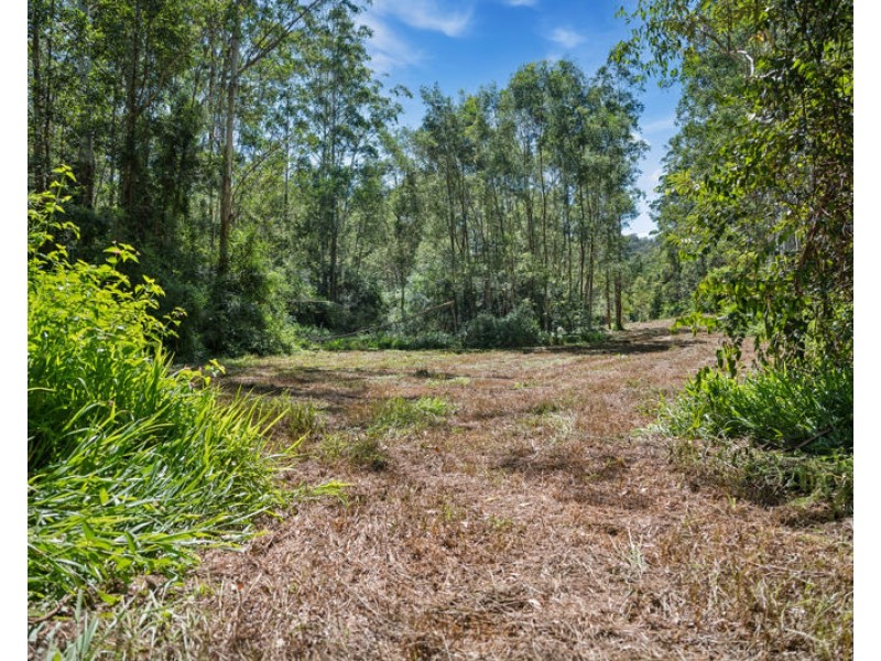 3566 Kalang Road, Kalang NSW 2454