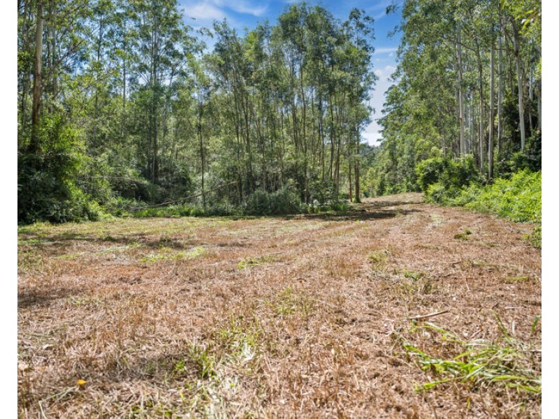 3566 Kalang Road, Kalang NSW 2454