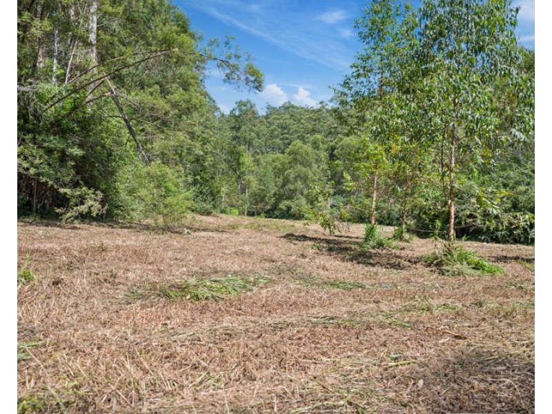 3566 Kalang Road, Kalang NSW 2454