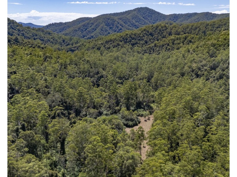 3566 Kalang Road, Kalang NSW 2454
