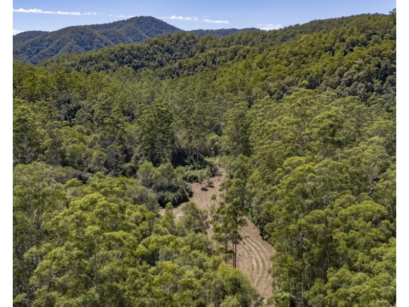 3566 Kalang Road, Kalang NSW 2454