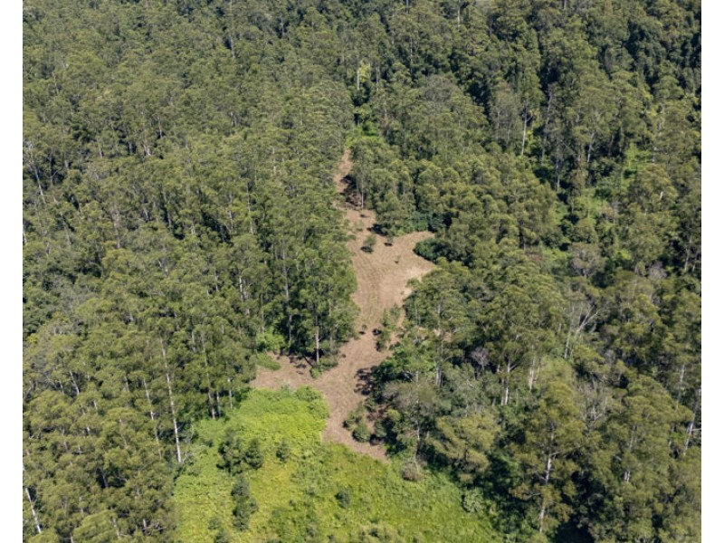 3566 Kalang Road, Kalang NSW 2454