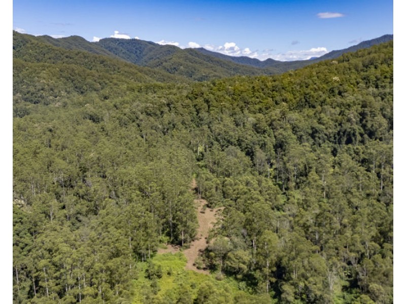 3566 Kalang Road, Kalang NSW 2454