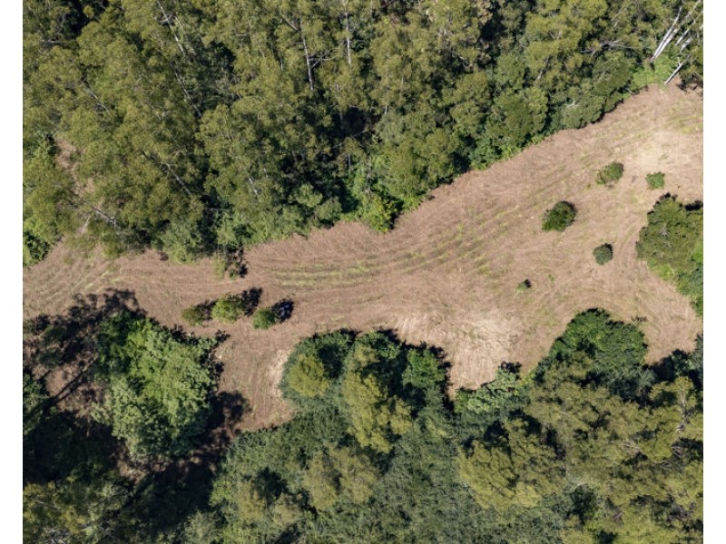 3566 Kalang Road, Kalang NSW 2454