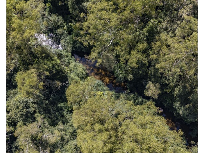 3566 Kalang Road, Kalang NSW 2454