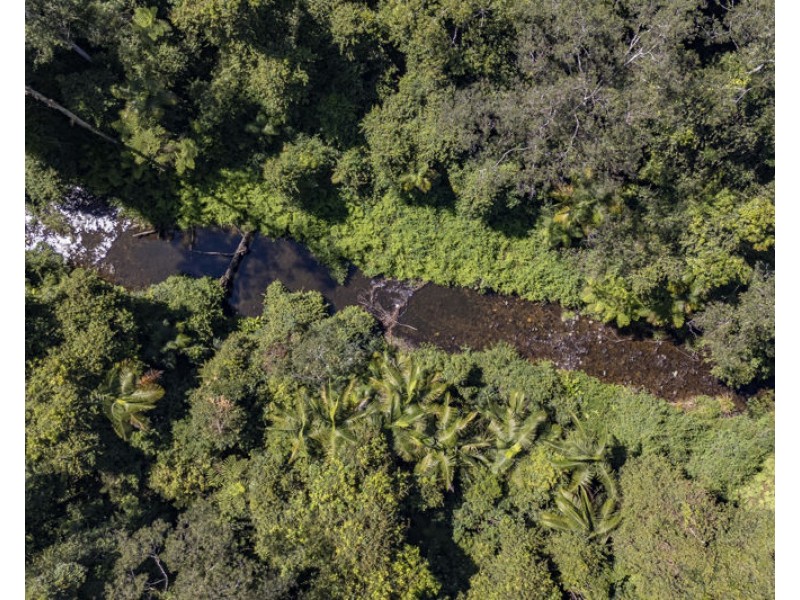 3566 Kalang Road, Kalang NSW 2454