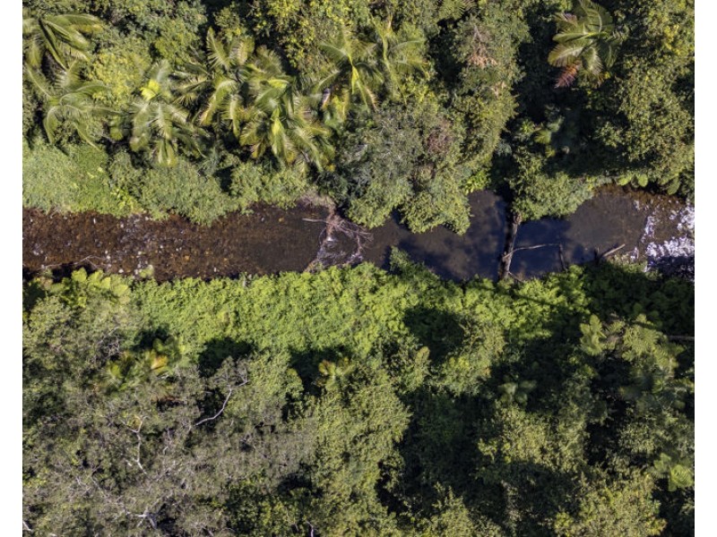 3566 Kalang Road, Kalang NSW 2454