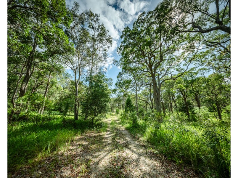 12 Wollumbin Drive, Urunga NSW 2455