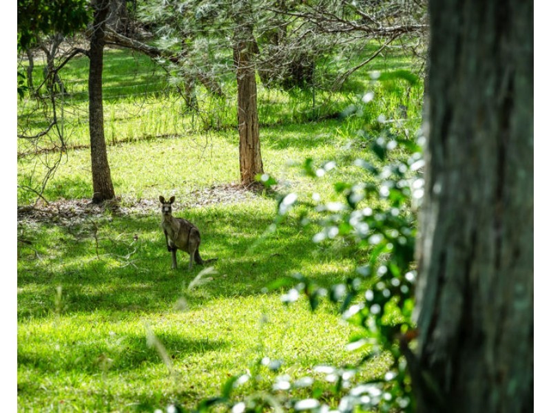 12 Wollumbin Drive, Urunga NSW 2455