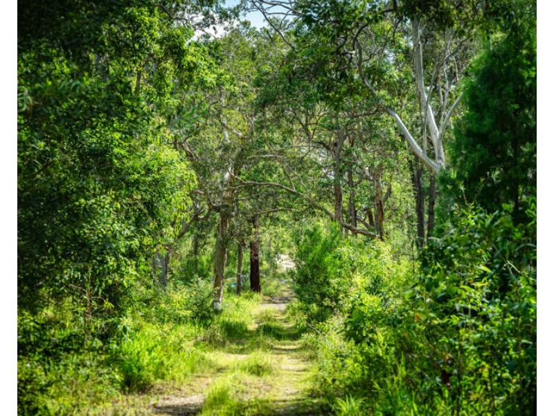 12 Wollumbin Drive, Urunga NSW 2455