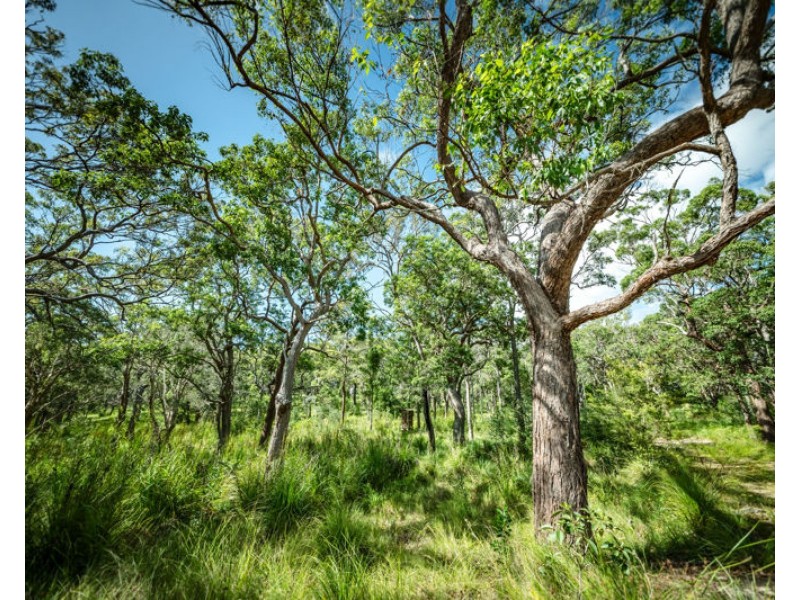 12 Wollumbin Drive, Urunga NSW 2455