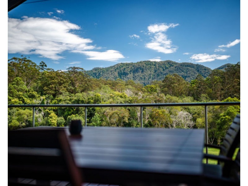 934 Promised Land Road, Bellingen NSW 2454