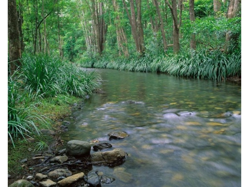 934 Promised Land Road, Bellingen NSW 2454