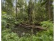 26 Lyon St, Repton NSW 2454
