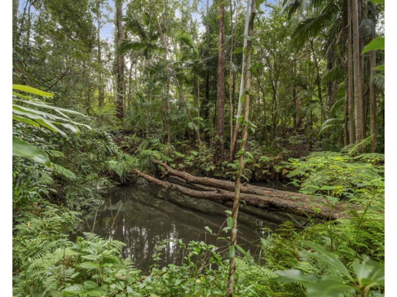 26 Lyon St, Repton NSW 2454