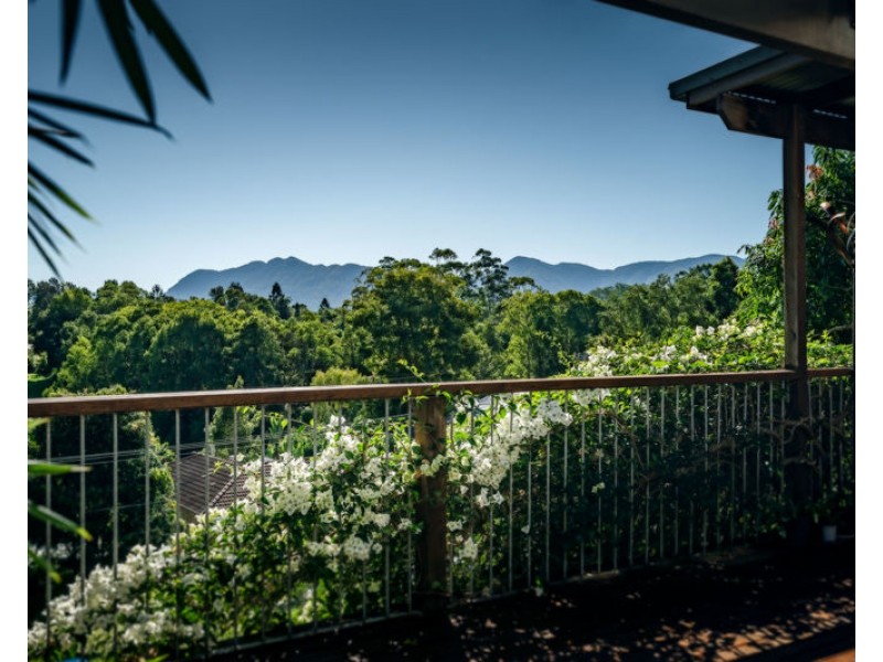 17 Lyon Street, Bellingen NSW 2454