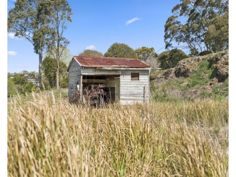 131 Coramba Road, Dorrigo NSW 2453