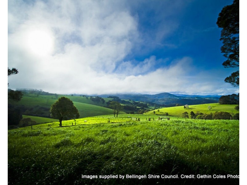 131 Coramba Road, Dorrigo NSW 2453