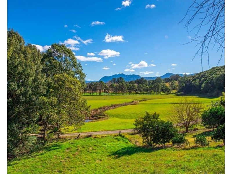 8 Hobson Close, Bellingen NSW 2454