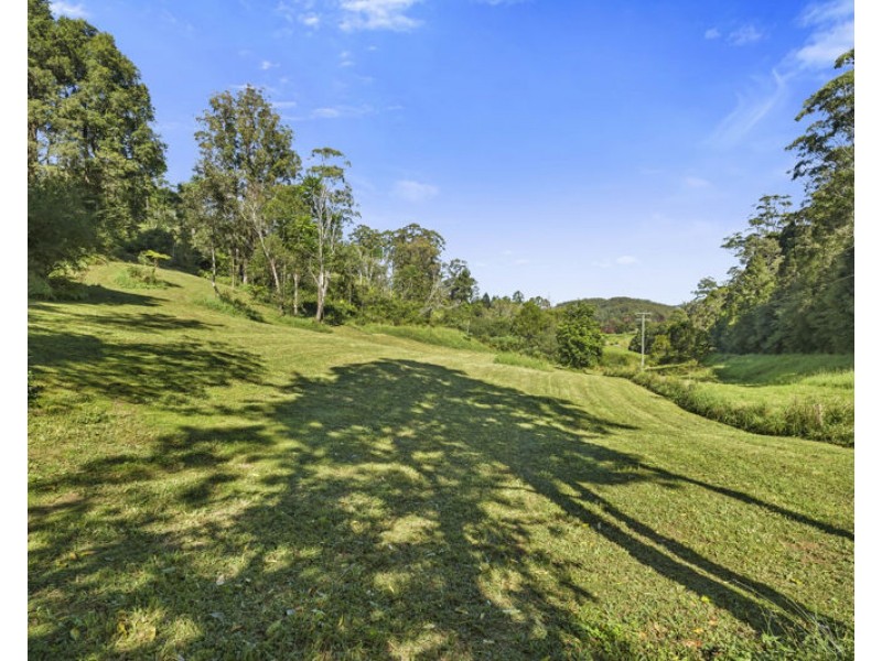 408 Bowraville Road, Bellingen NSW 2454