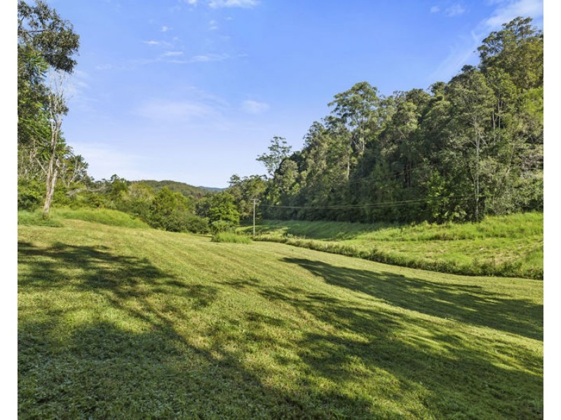 408 Bowraville Road, Bellingen NSW 2454