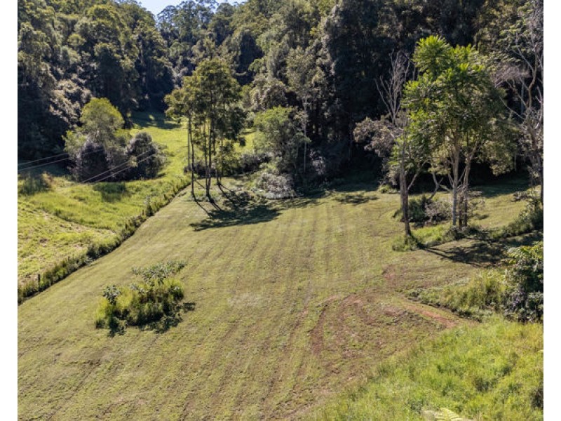 408 Bowraville Road, Bellingen NSW 2454
